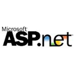 Microsoft ASP.NET web developer Miami FL